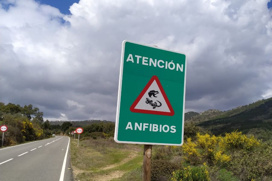 señal anfibios