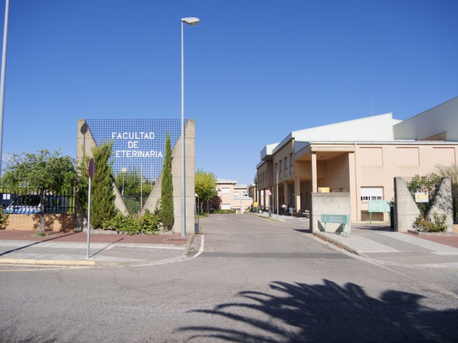 Facultad veterinaria extremadura