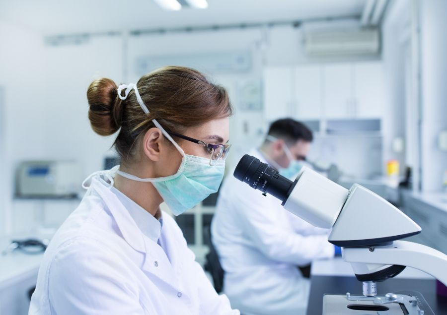veterinario laboratorio