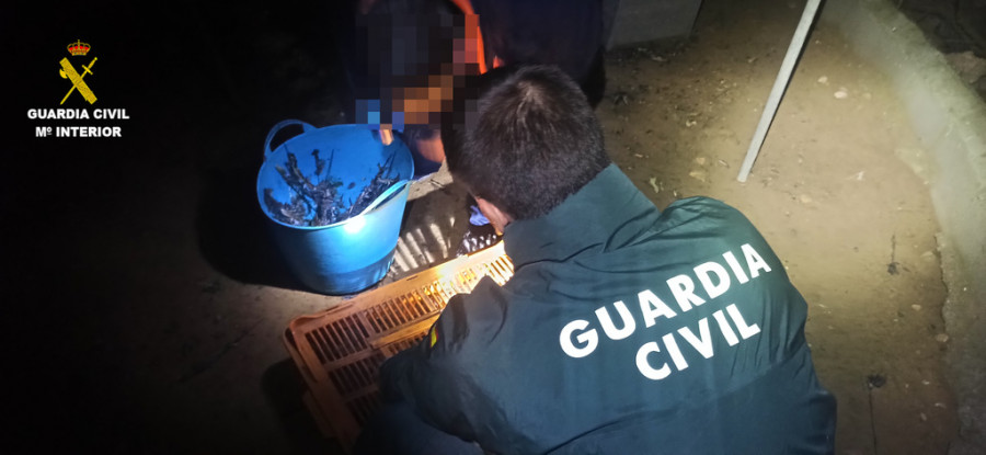 Guardia civil maltrato animal