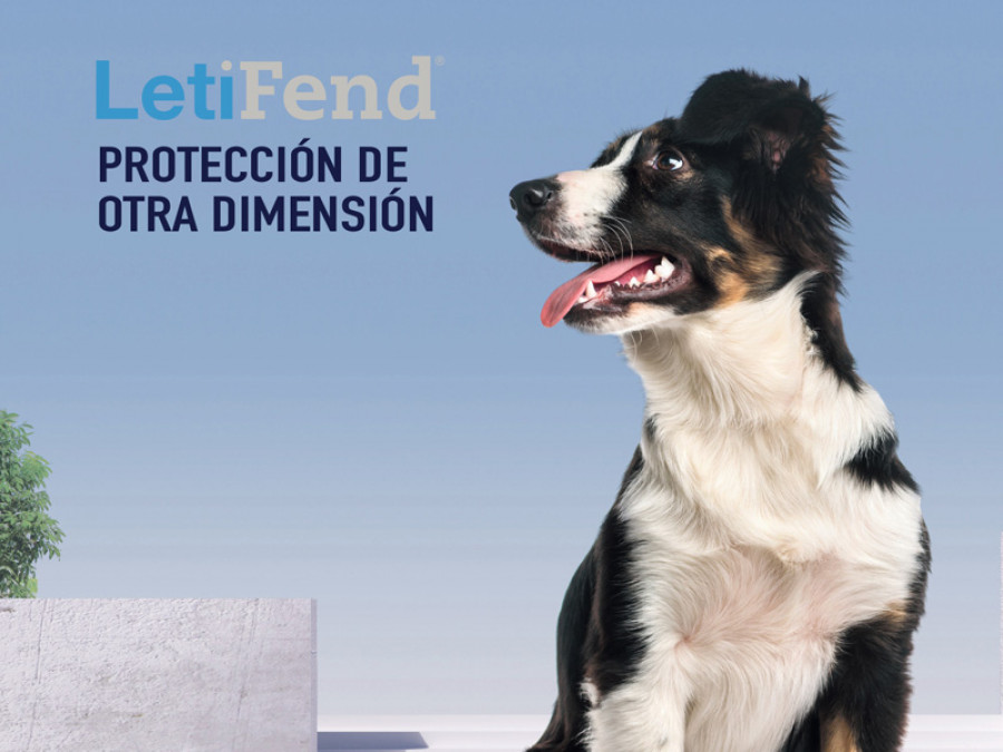 Letifend