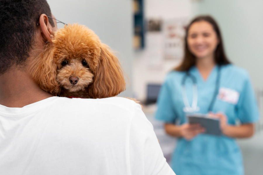 Veterinario dueño