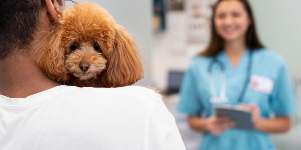 Los dueños valoran una evaluación del bienestar animal en las visitas veterinarias