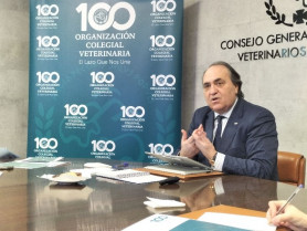 Advierten de las consecuencias graves de la leishmaniosis, “zoonosis desatendida a pesar de ser endémica”