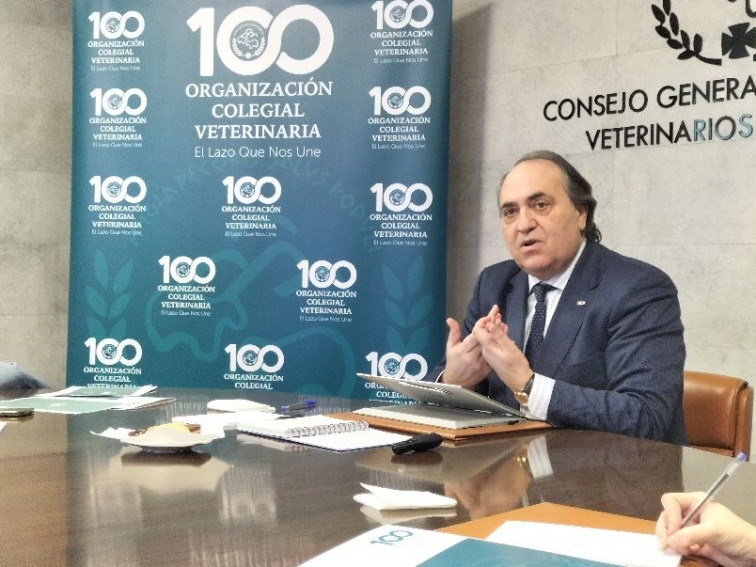 RD666/2023: La plataforma VetWarriors reclama a la OCV que 