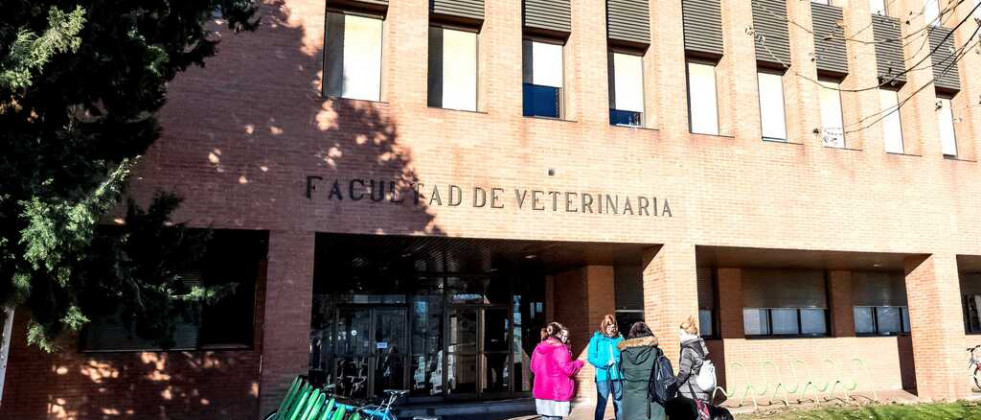 Convocan un premio de 1.500 € para recién graduados de Veterinaria en León