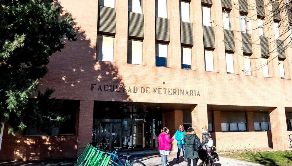 Convocan un premio de 1.500 € para recién graduados de Veterinaria en León