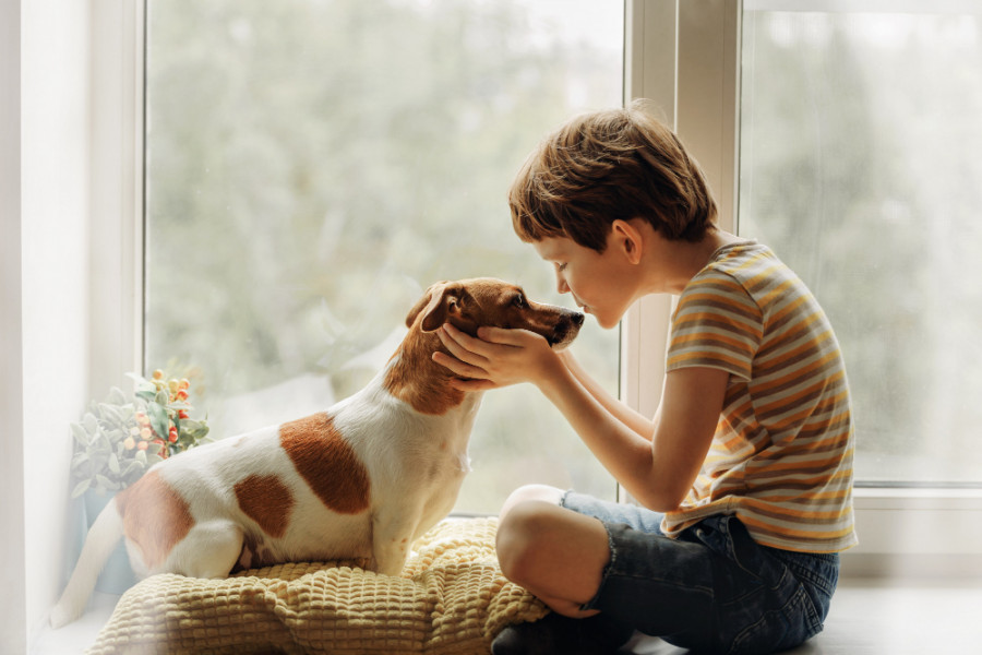 Perro niño