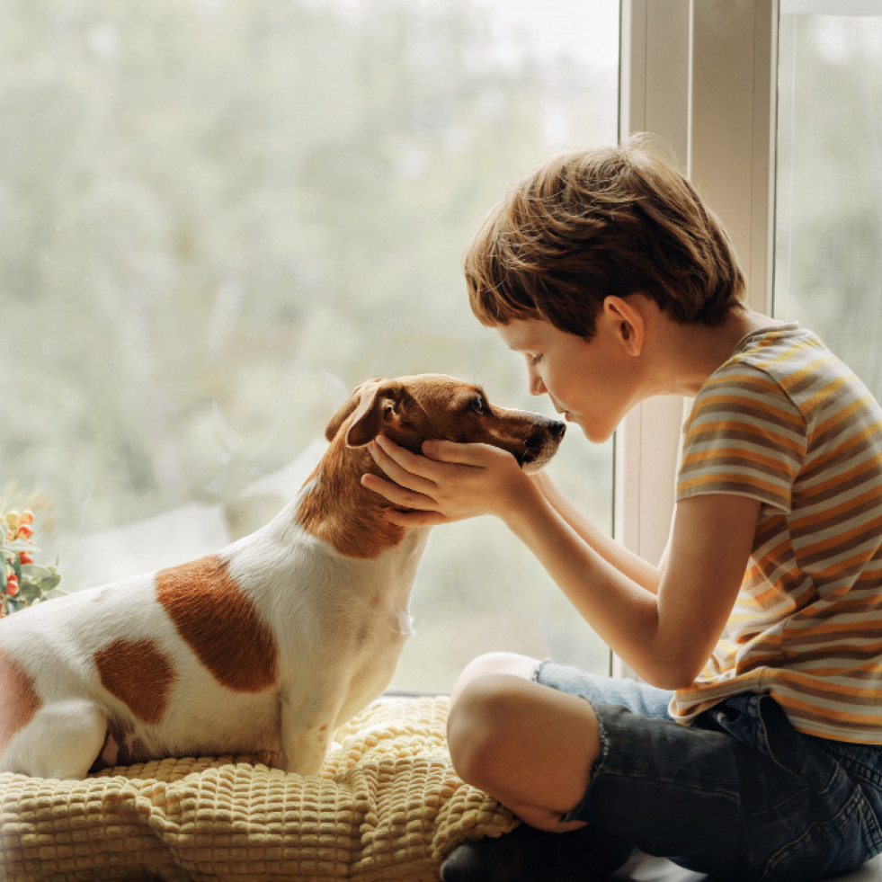 Convivir con perros durante la infancia puede proteger de la aparición de asma