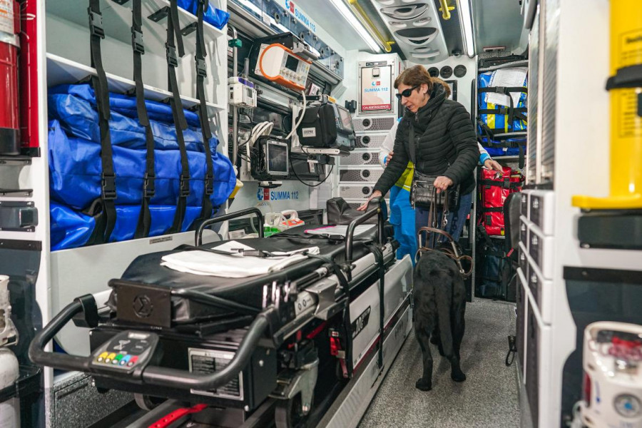 Perros acompañamiento ambulancia