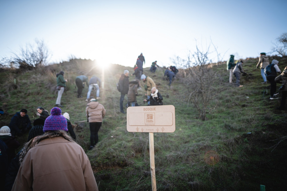 Actividad bosque hills