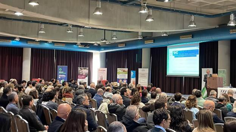 Msd jornadas