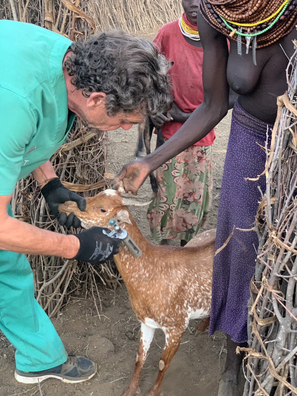 veterinarios etiopía