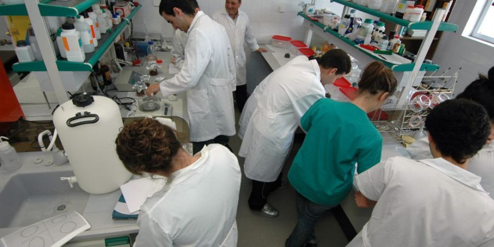 Los estudiantes de Veterinaria pueden solicitar las becas para el próximo curso