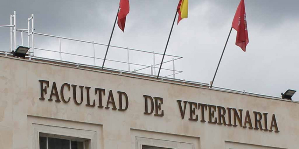 Casi un 70 % de los veterinarios que finalizaron sus estudios hace 7 años tiene un contrato indefinido