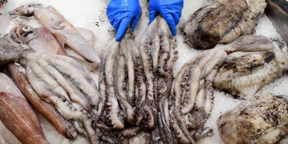 Un estudio demuestra cómo el pulpo, la sepia y el calamar pueden garantizar la seguridad alimentaria