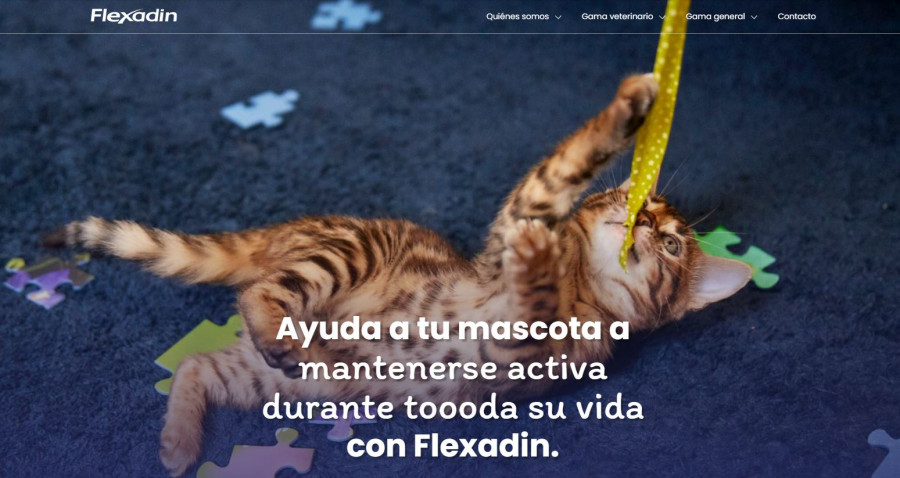 Foto web Flexadin