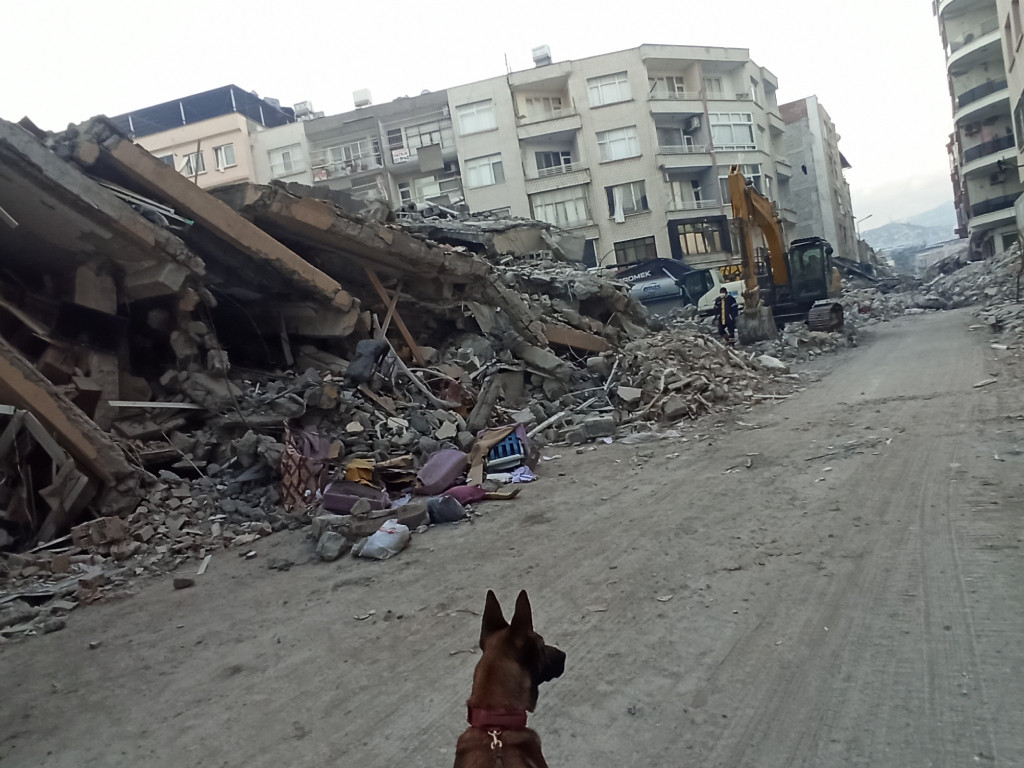 Neus perro rescate Mariluz Turquia terremoto