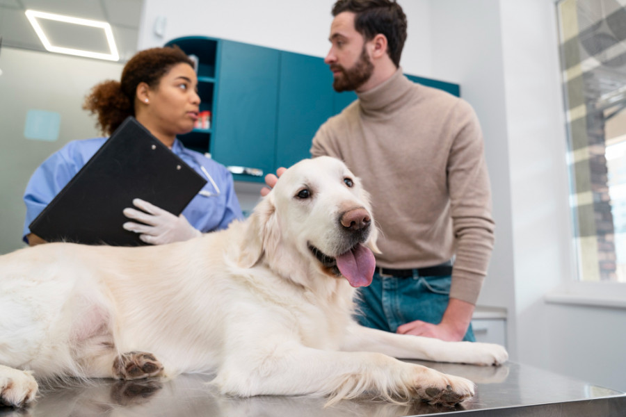 Coste veterinario