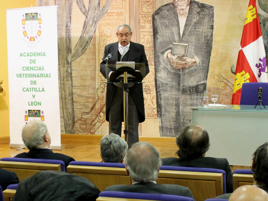 ULE curso José Manuel Martínez Rodríguez