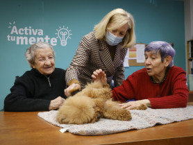 Madrid ofrece terapia asistida con animales para mayores