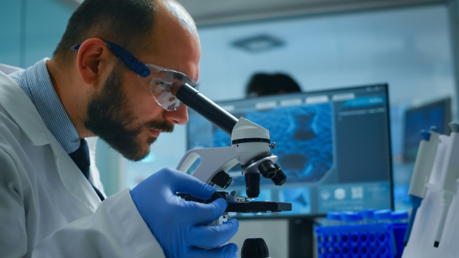 Laboratorio