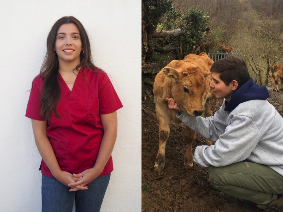 ¿A qué se dedican ahora los mejores expedientes de Veterinaria de los últimos años?