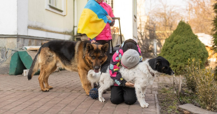 Cambia el procedimiento para introducir mascotas en España procedentes de Ucrania