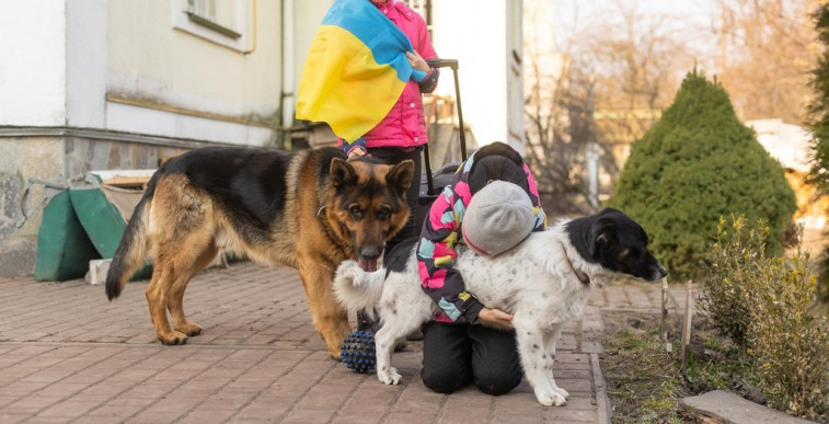 Cambia el procedimiento para introducir mascotas en España procedentes de Ucrania