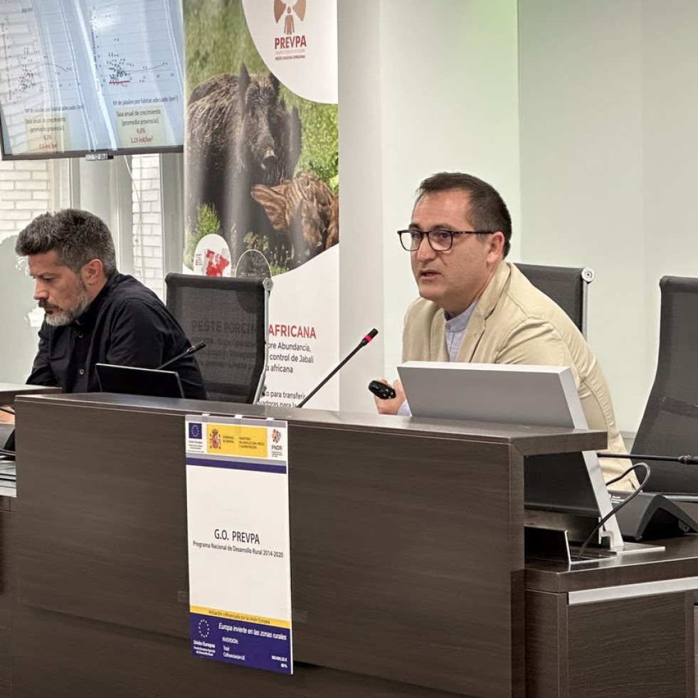 Presentan los resultados del trabajo realizado para prevenir la peste porcina africana en España