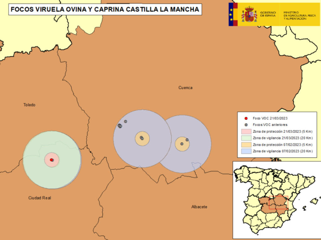 Focos viruela ovina y caprina castilla la mancha