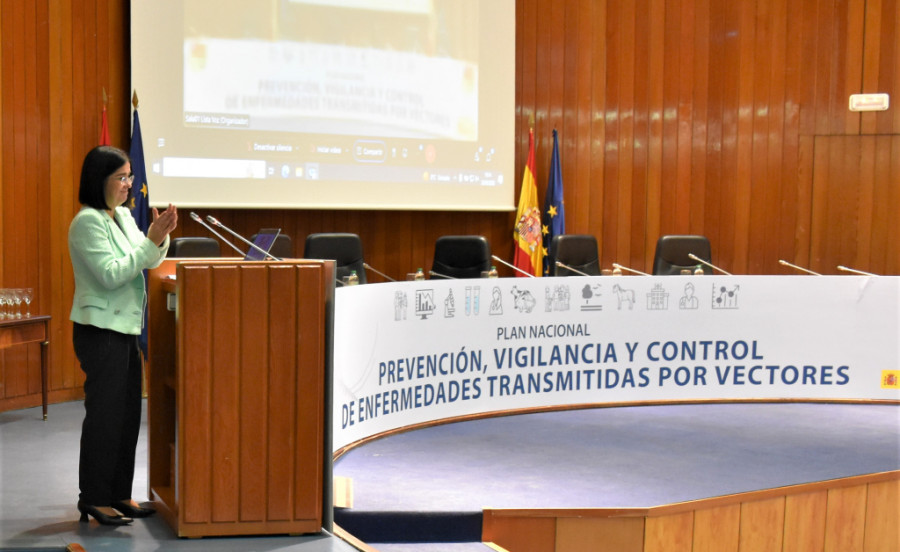 Vectores darias