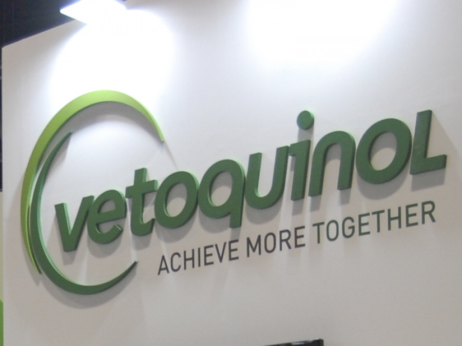 Vetoquinol