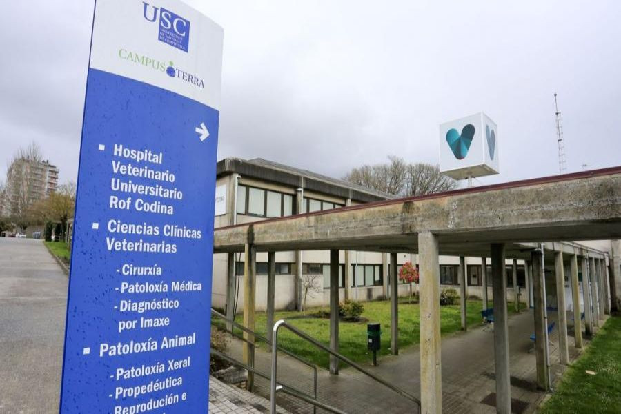 Ofertan 11 plazas de contrato de formación para titulados en Veterinaria