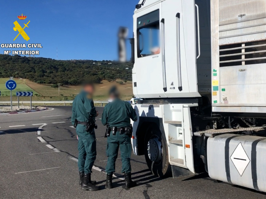 Guardia civil transprte animal