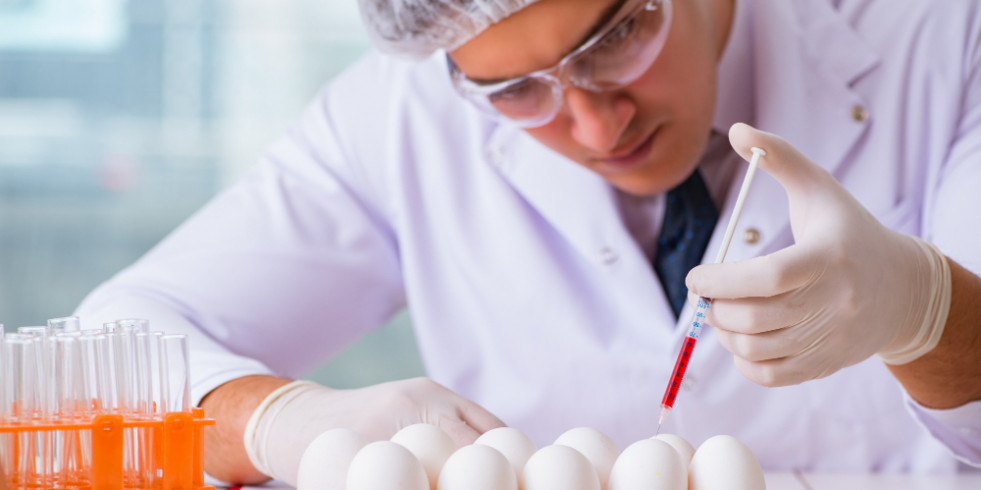 Un diseño basado en “One Health” para proteger a las personas de la campilobacteriosis