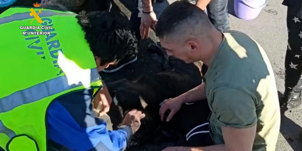 Investigan a 3 personas por causar la muerte a 2 perros al abandonarlos en un coche en Navarra