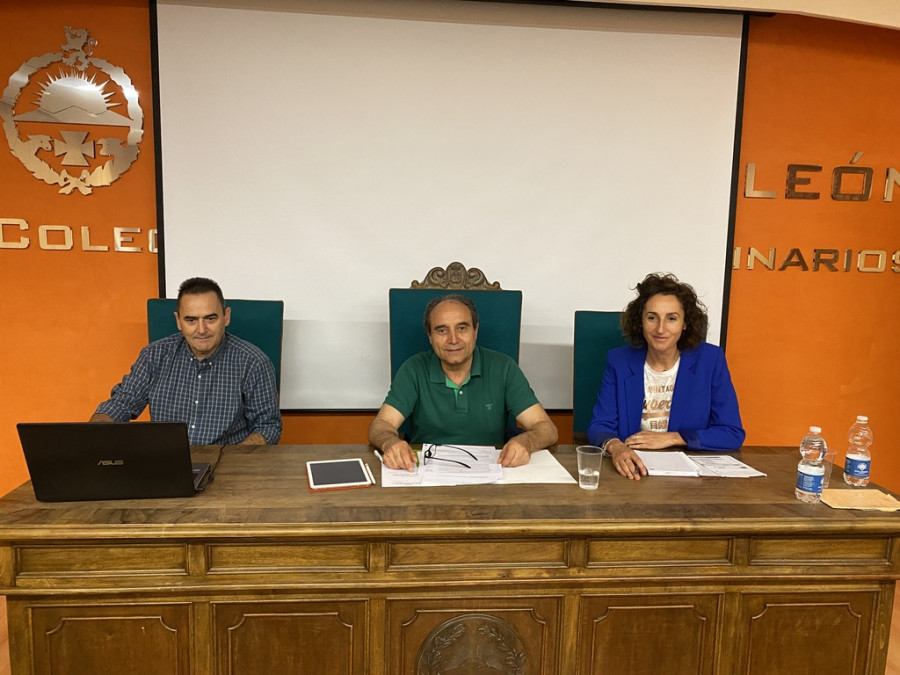 Sindicato veterinario león sivele uscal