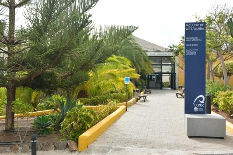 Facultad veterinaria las palmas