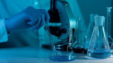 Veterinarios españoles relacionan productos cárnicos con infecciones urinarias en humanos