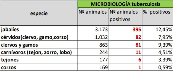 Tuberculosis