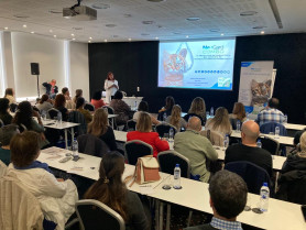 Gran acogida de las sesiones sobre parasitosis cardiopulmonares felinas organizadas por Boehringer Ingelheim