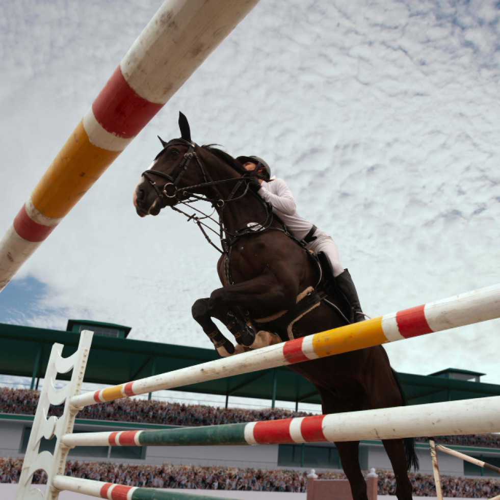 Actualizan los estándares equinos para reducir los obstáculos al movimiento de caballos de competición