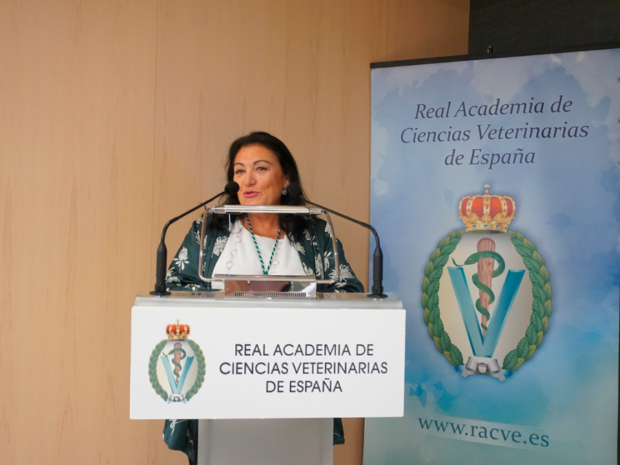Laura Luisa Peña Fernández Académica Correspondiente RACVE