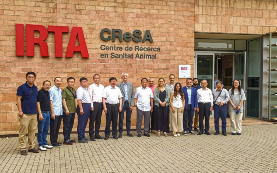 Irta china