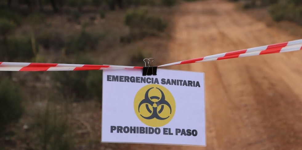 ¿Cómo afrontar un brote de peste porcina africana en jabalíes?