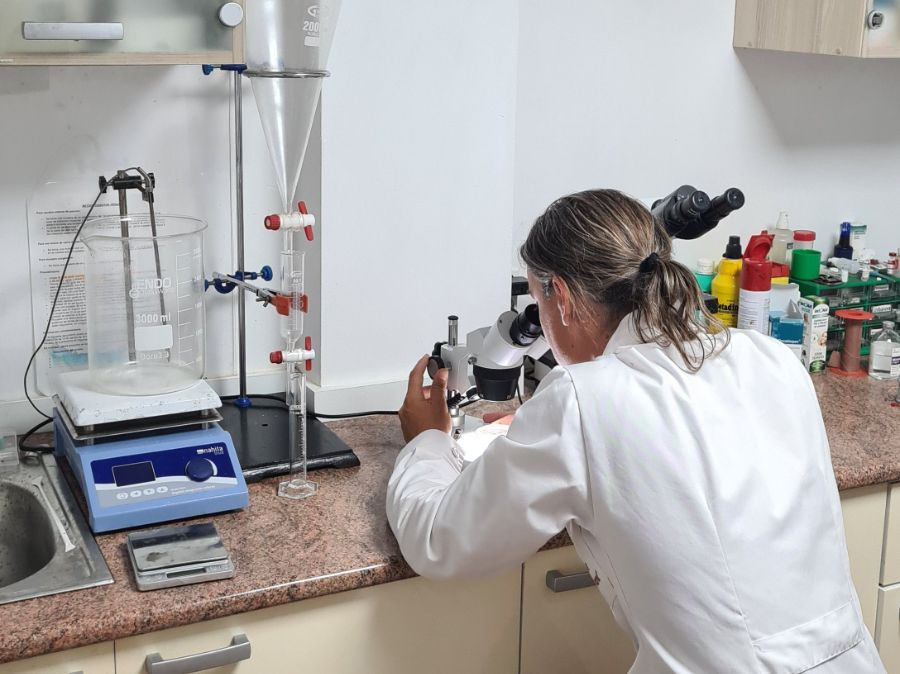 veterinario triquina