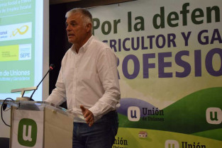 Instan a comunidades autónomas y al Gobierno que aúnen esfuerzos contra la lengua azul