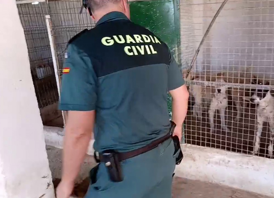 Perros guardia civil