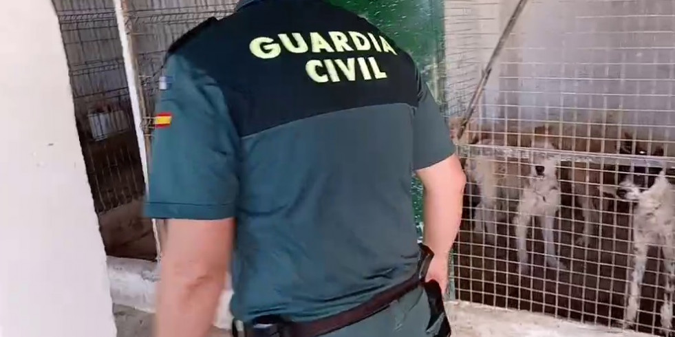 La Guardia Civil investiga a dos personas por estafar a propietarios de perros robados o extraviados